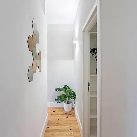 Historical Sunny Marques - With Ac! * ポルト